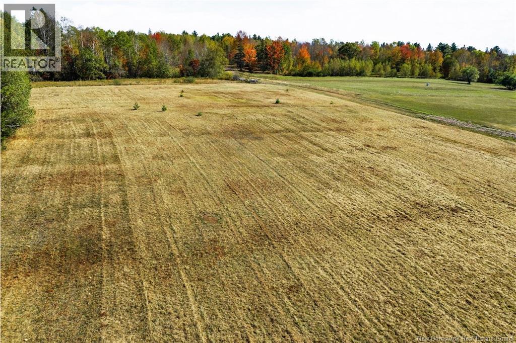 / Scenic Narrows Boulevard (Route 710), Cambridge-Narrows, New Brunswick  O0O 0O0 - Photo 12 - NB120128