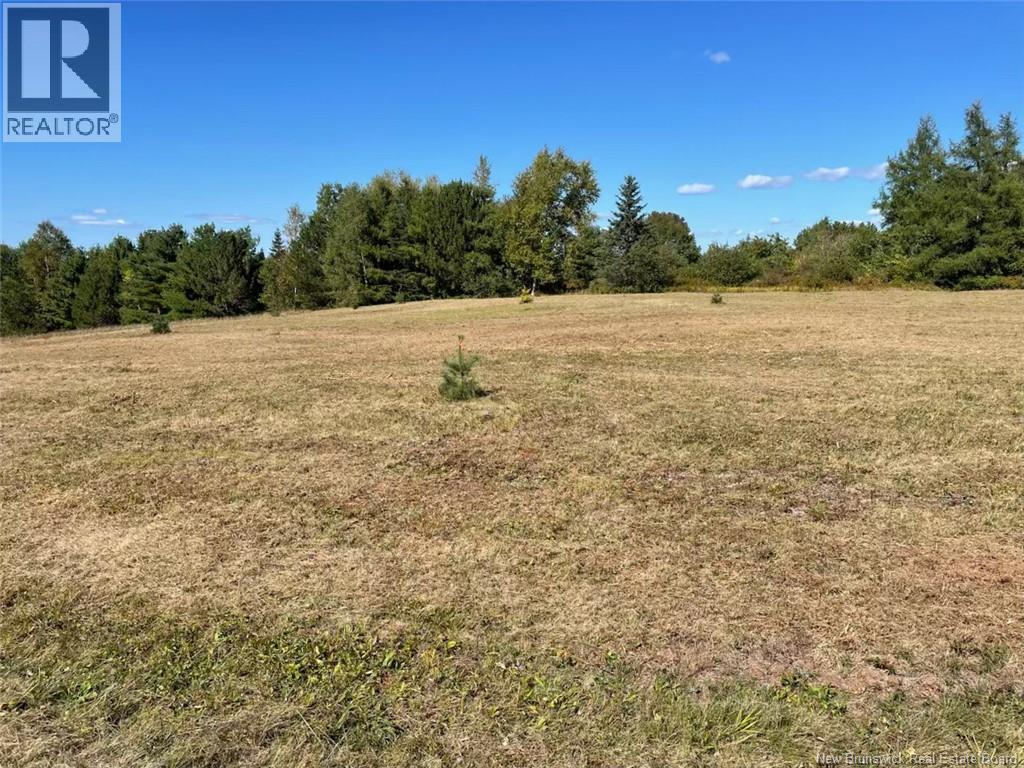/ Scenic Narrows Boulevard (Route 710), Cambridge-Narrows, New Brunswick  O0O 0O0 - Photo 18 - NB120128