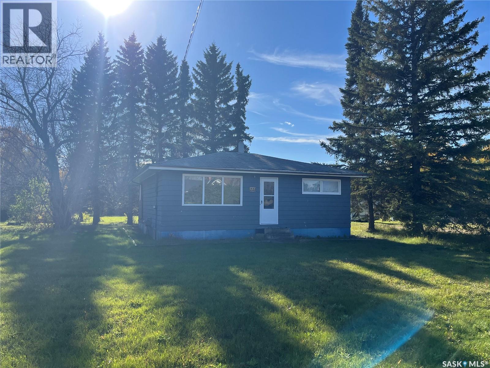 221 2nd Avenue W, Margo, Saskatchewan  S0A 2M0 - Photo 1 - SK020701