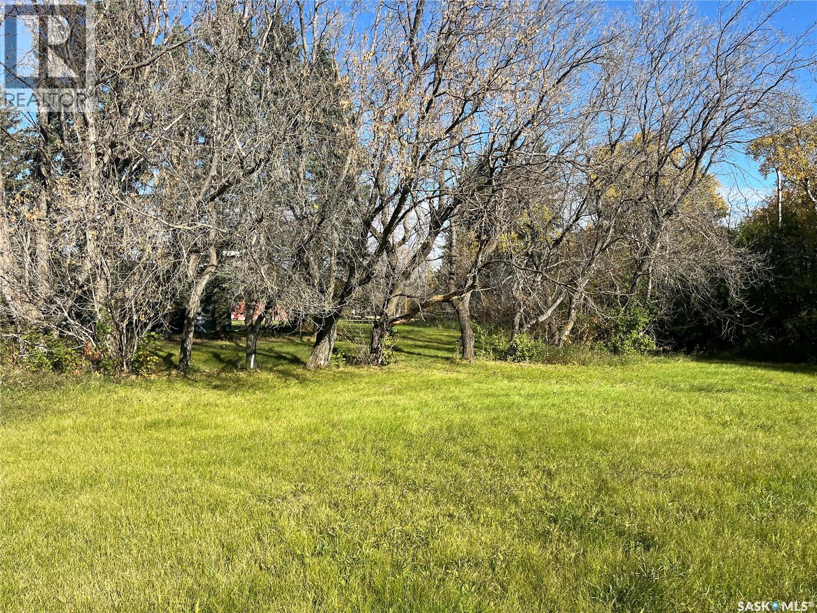 221 2nd Avenue W, Margo, Saskatchewan  S0A 2M0 - Photo 14 - SK020701