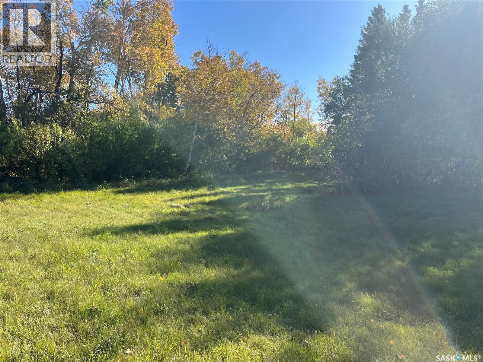 221 2nd Avenue W, Margo, Saskatchewan  S0A 2M0 - Photo 15 - SK020701