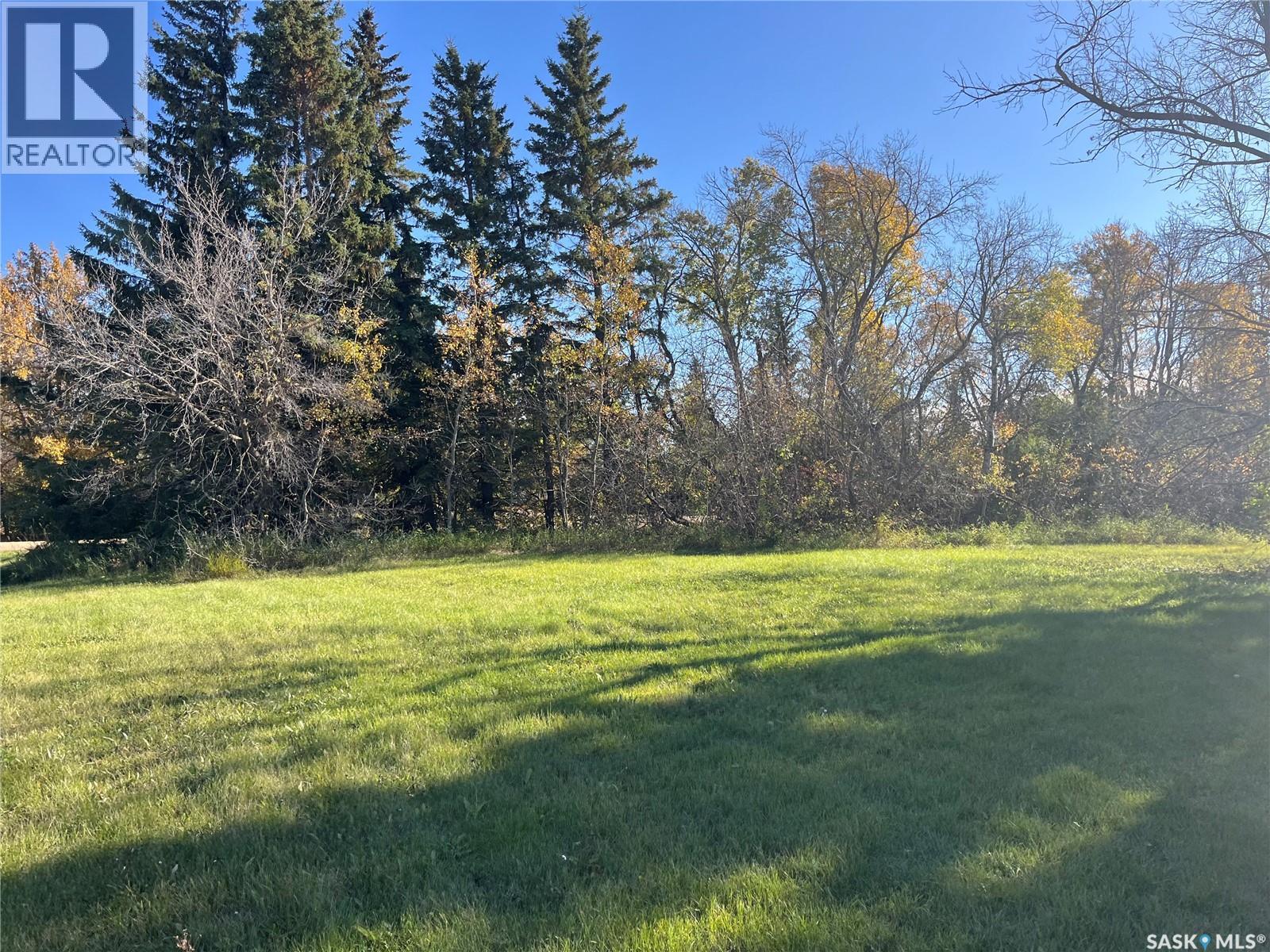 221 2nd Avenue W, Margo, Saskatchewan  S0A 2M0 - Photo 2 - SK020701