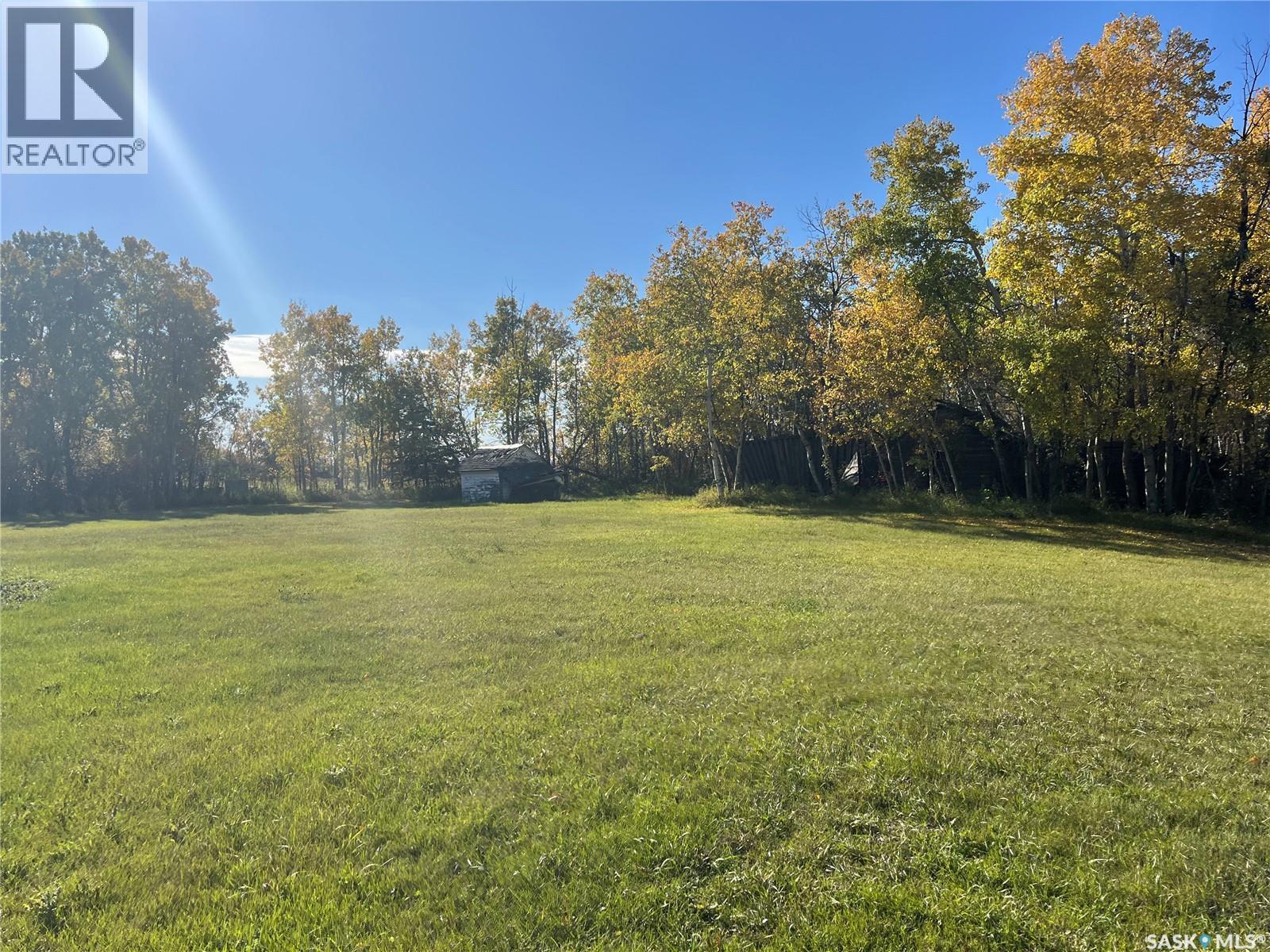 221 2nd Avenue W, Margo, Saskatchewan  S0A 2M0 - Photo 4 - SK020701