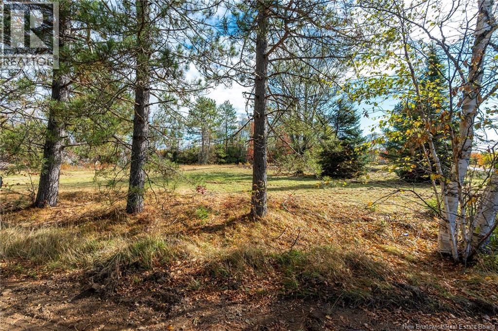 413 Bass River Point Road, Bass River, New Brunswick  E4T 1H9 - Photo 20 - NB118009