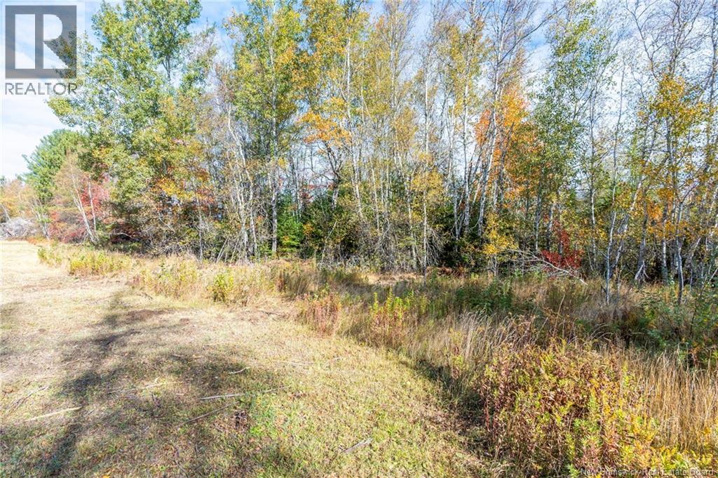413 Bass River Point Road, Bass River, New Brunswick  E4T 1H9 - Photo 11 - NB118009