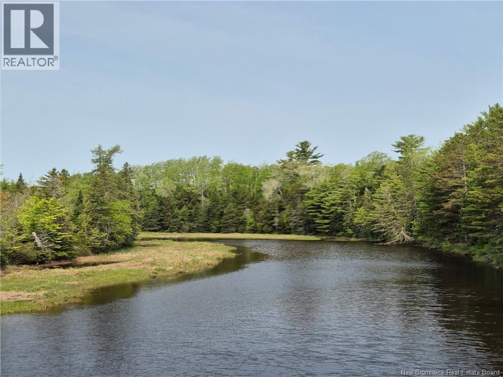 413 Bass River Point Road, Bass River, New Brunswick  E4T 1H9 - Photo 48 - NB118009