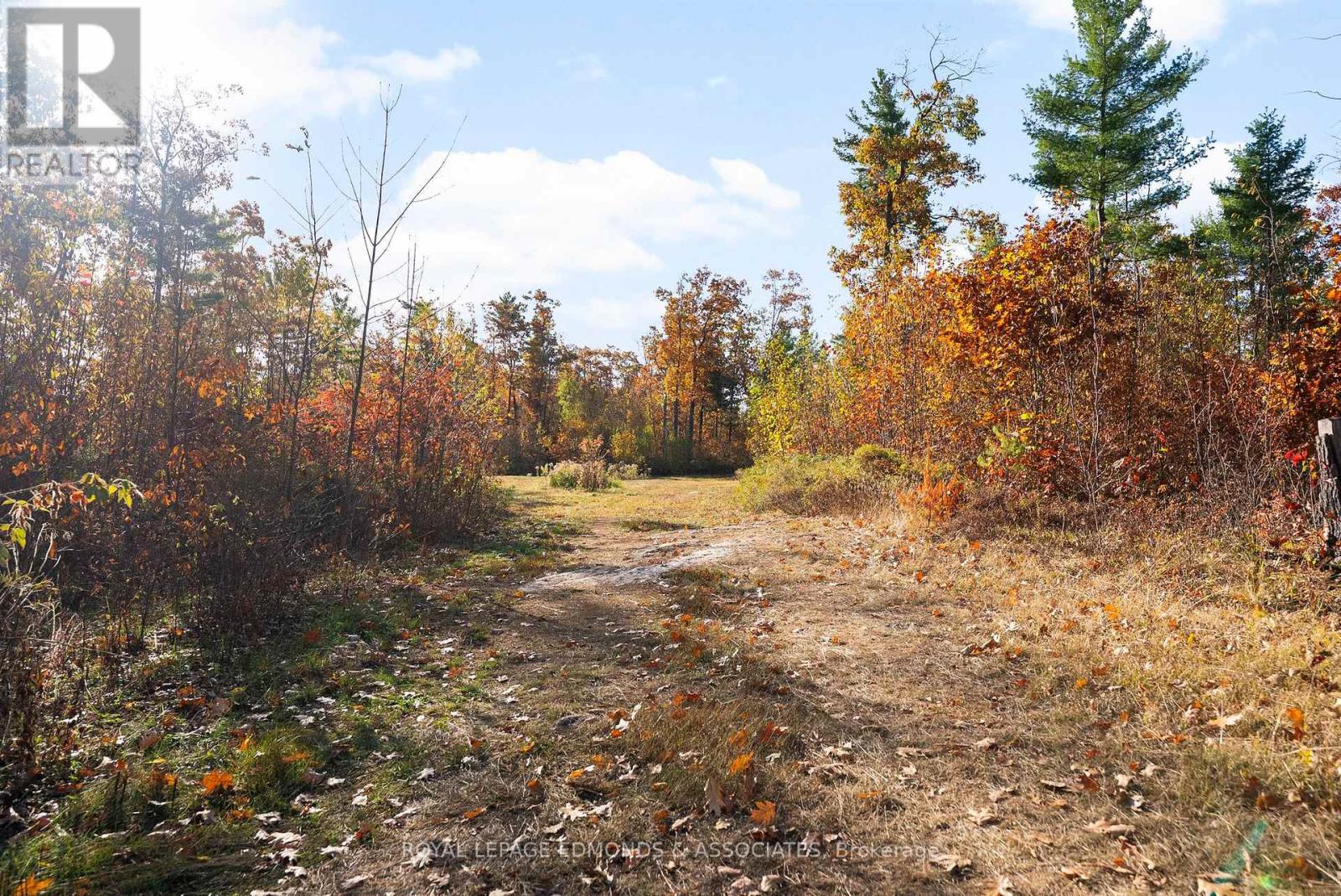 0 Reiche Road, North Algona Wilberforce, Ontario  K8A 6W4 - Photo 10 - X12458826
