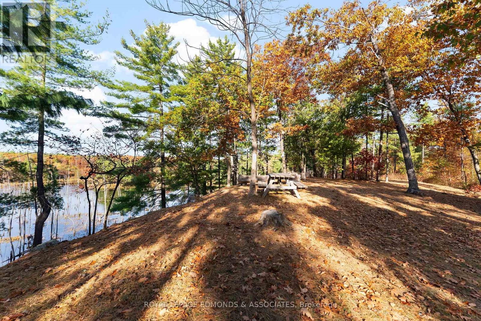 0 Reiche Road, North Algona Wilberforce, Ontario  K8A 6W4 - Photo 12 - X12458826