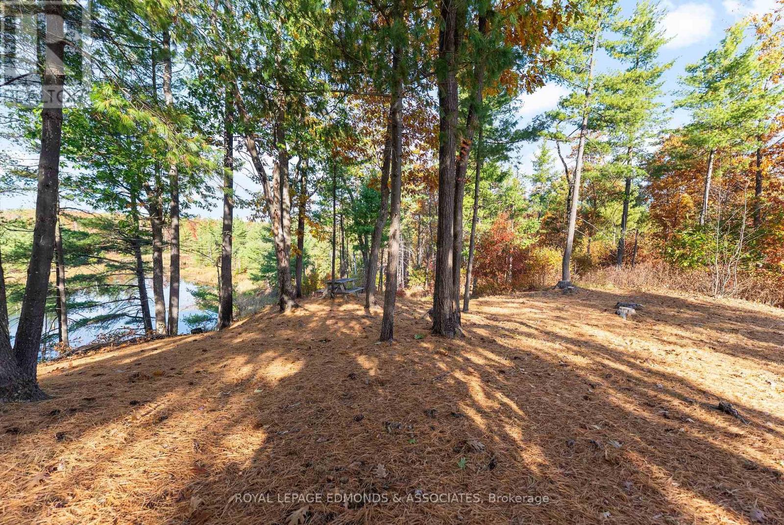 0 Reiche Road, North Algona Wilberforce, Ontario  K8A 6W4 - Photo 13 - X12458826