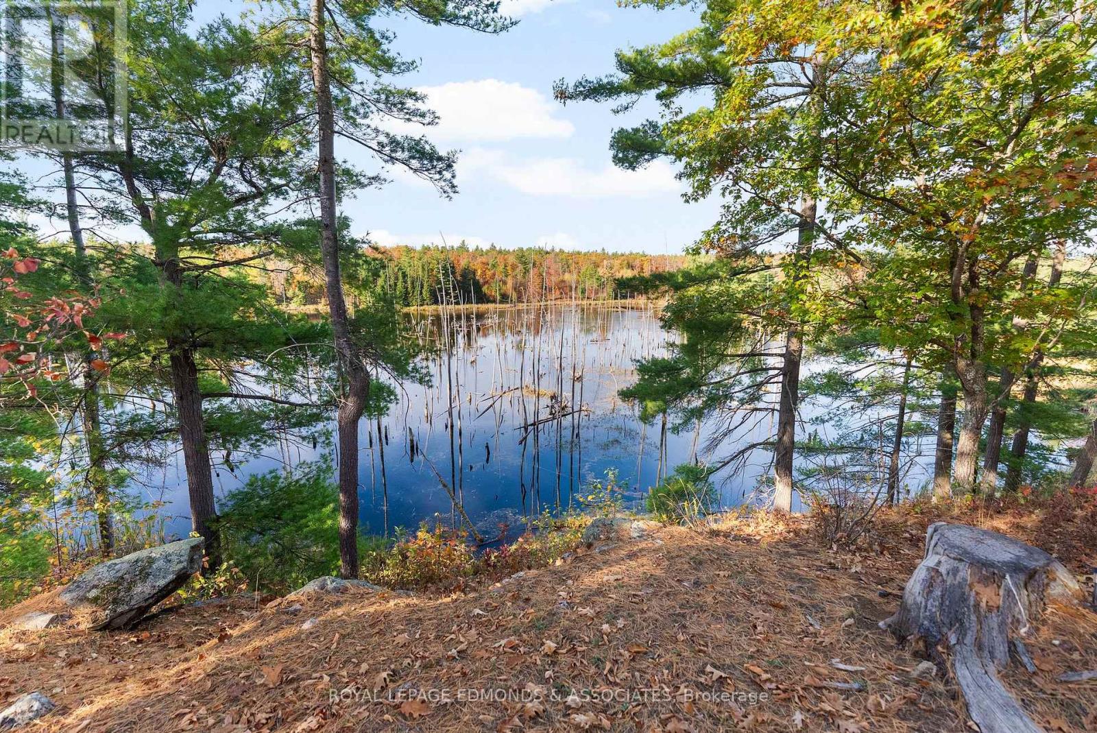 0 Reiche Road, North Algona Wilberforce, Ontario  K8A 6W4 - Photo 14 - X12458826