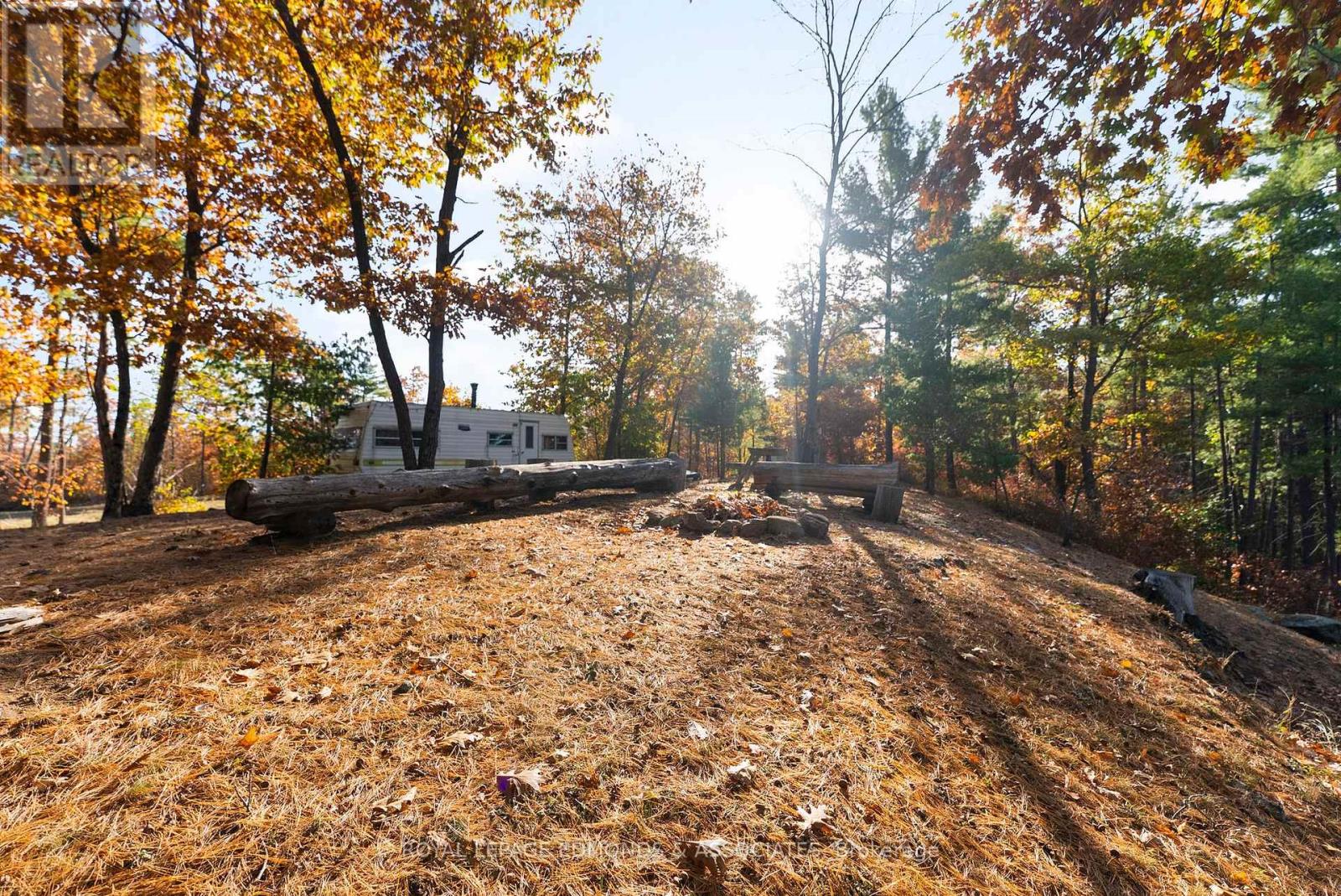 0 Reiche Road, North Algona Wilberforce, Ontario  K8A 6W4 - Photo 15 - X12458826