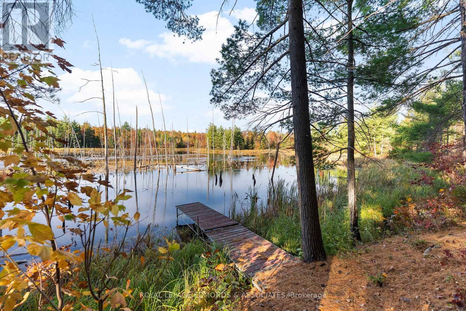 0 Reiche Road, North Algona Wilberforce, Ontario  K8A 6W4 - Photo 16 - X12458826