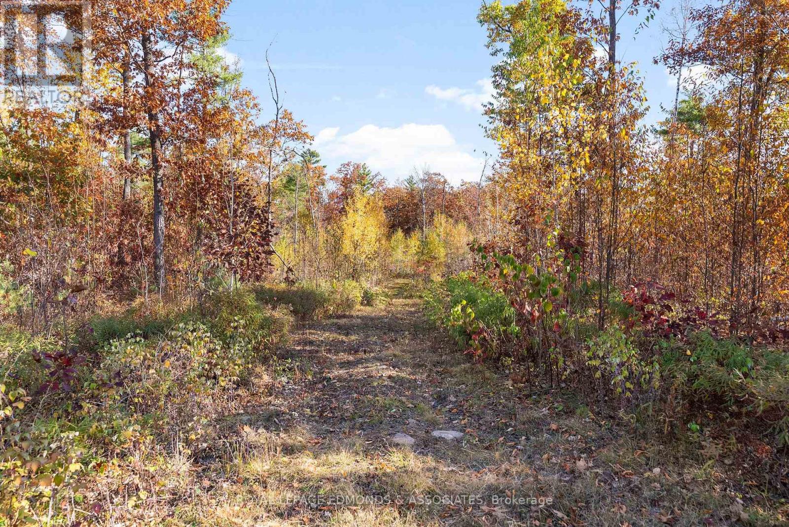 0 Reiche Road, North Algona Wilberforce, Ontario  K8A 6W4 - Photo 19 - X12458826