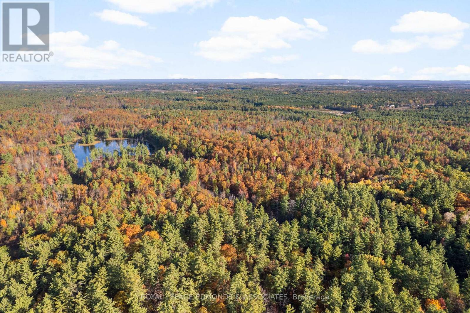 0 Reiche Road, North Algona Wilberforce, Ontario  K8A 6W4 - Photo 2 - X12458826