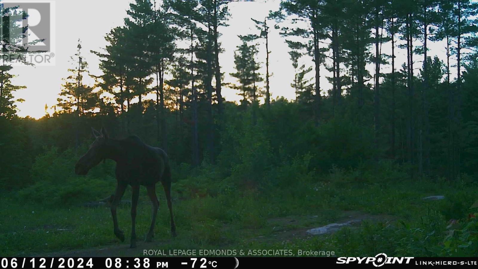 0 Reiche Road, North Algona Wilberforce, Ontario  K8A 6W4 - Photo 28 - X12458826