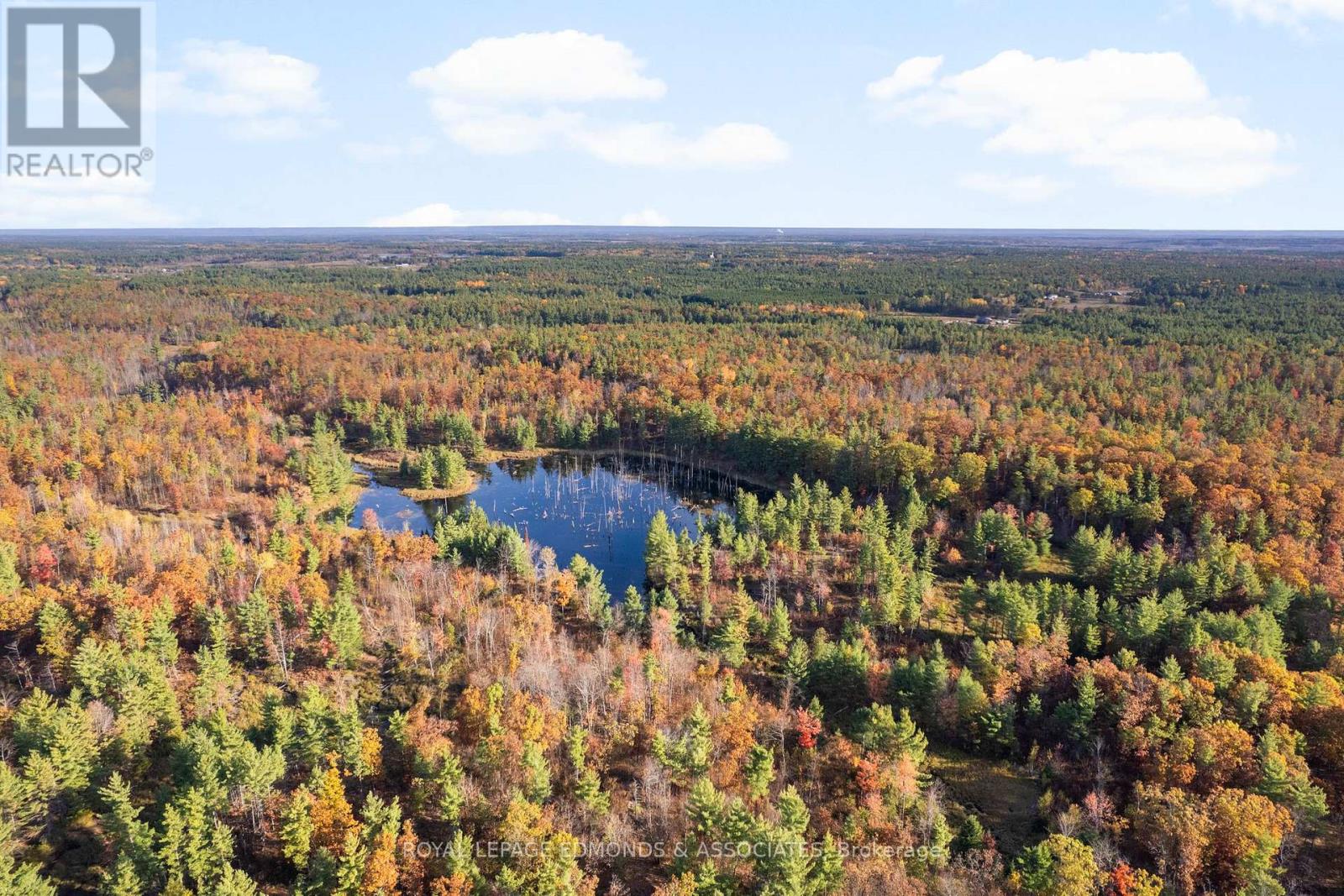 0 Reiche Road, North Algona Wilberforce, Ontario  K8A 6W4 - Photo 3 - X12458826