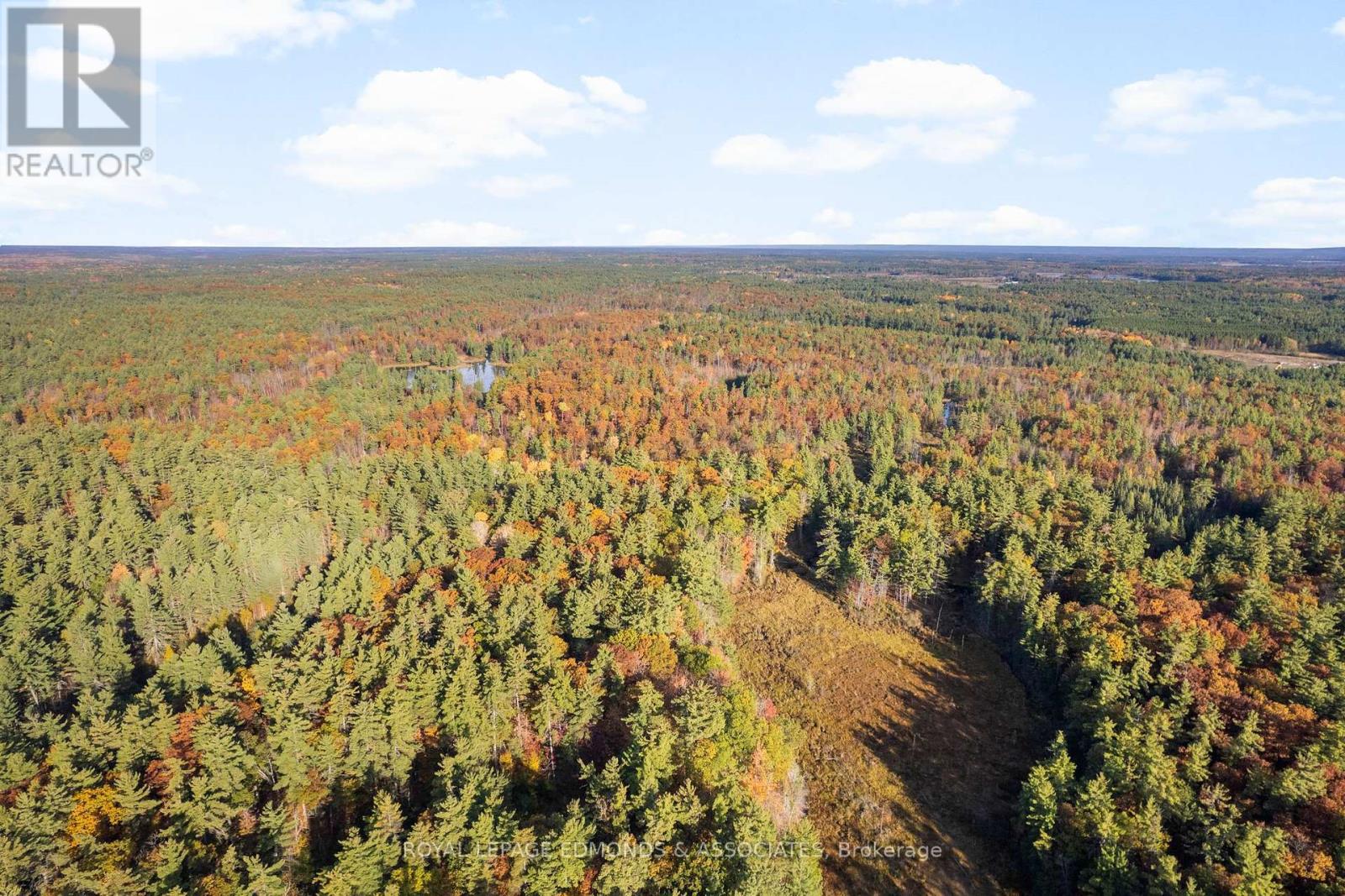 0 Reiche Road, North Algona Wilberforce, Ontario  K8A 6W4 - Photo 33 - X12458826