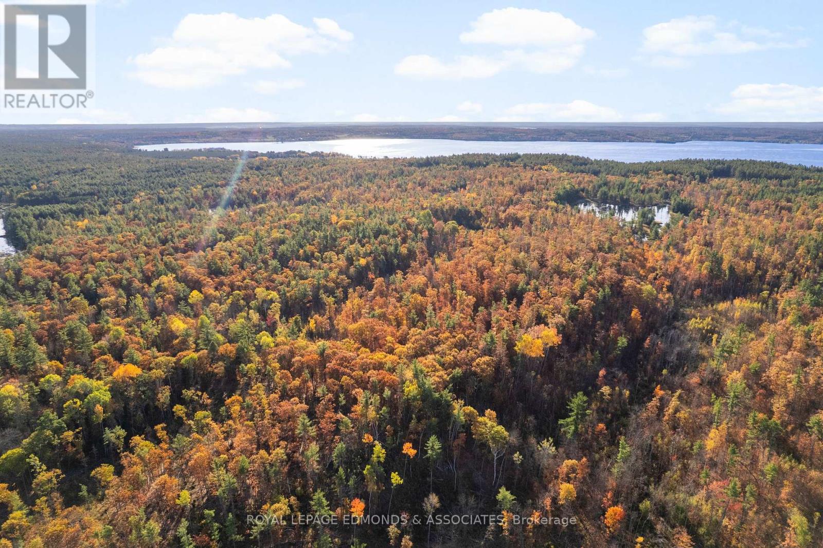 0 Reiche Road, North Algona Wilberforce, Ontario  K8A 6W4 - Photo 34 - X12458826