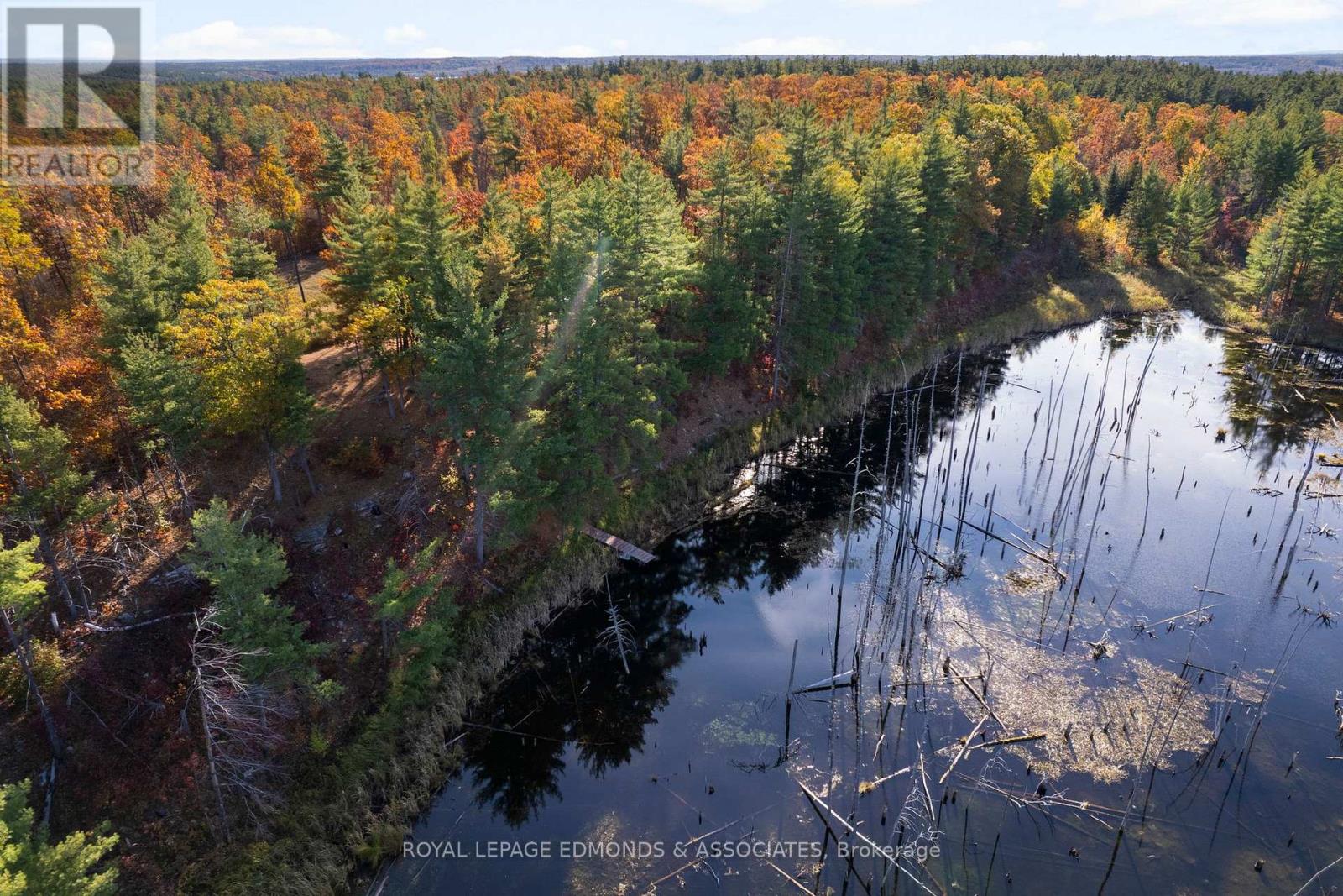 0 Reiche Road, North Algona Wilberforce, Ontario  K8A 6W4 - Photo 36 - X12458826