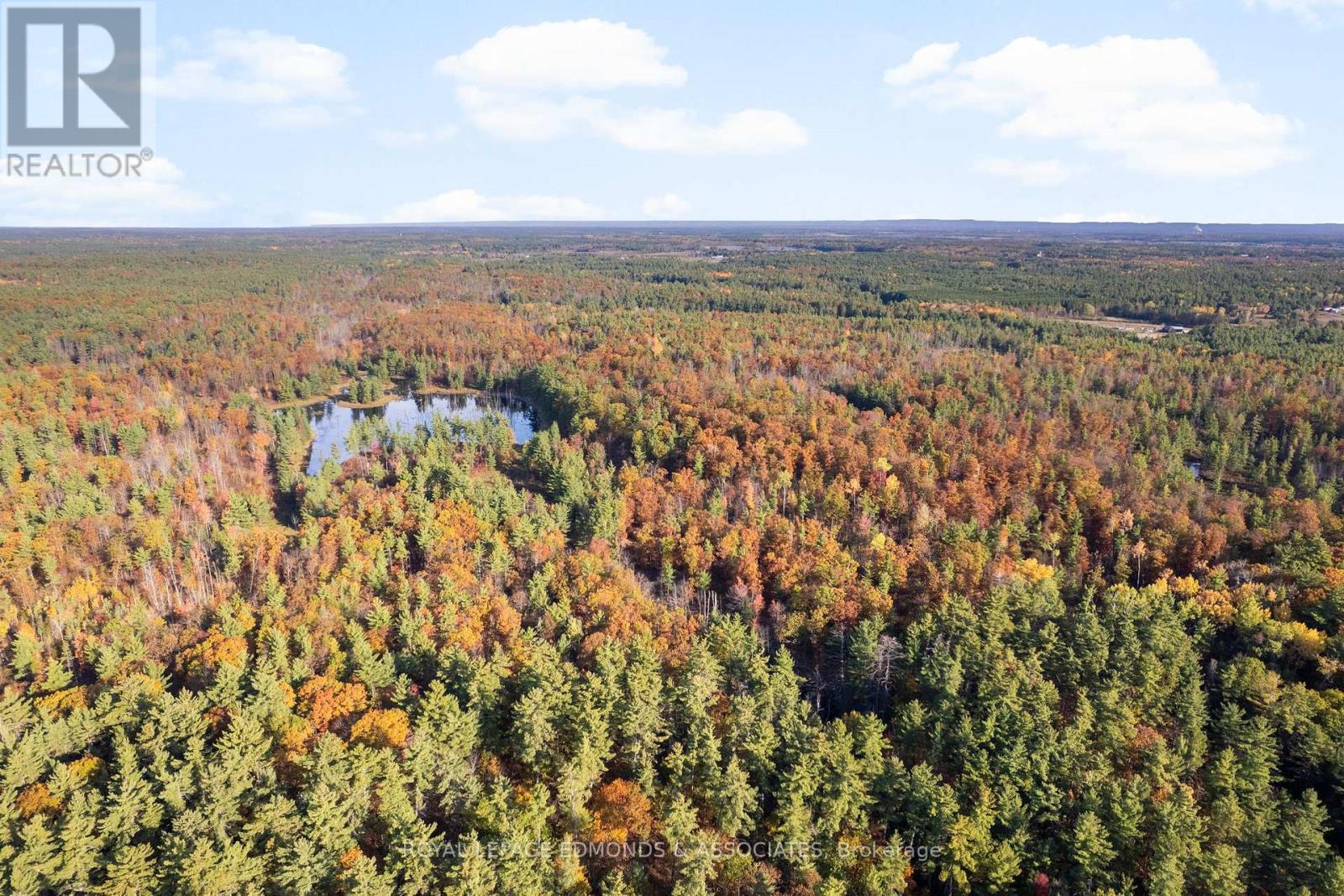 0 Reiche Road, North Algona Wilberforce, Ontario  K8A 6W4 - Photo 6 - X12458826