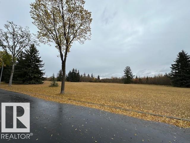 9119 74 Av Nw, Edmonton, Alberta  T6E 1C9 - Photo 10 - E4461874