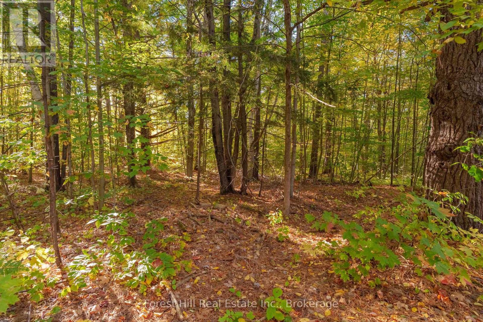 3864 Highway 118 W, Muskoka Lakes (Medora), Ontario  P0B 1J0 - Photo 33 - X12458892
