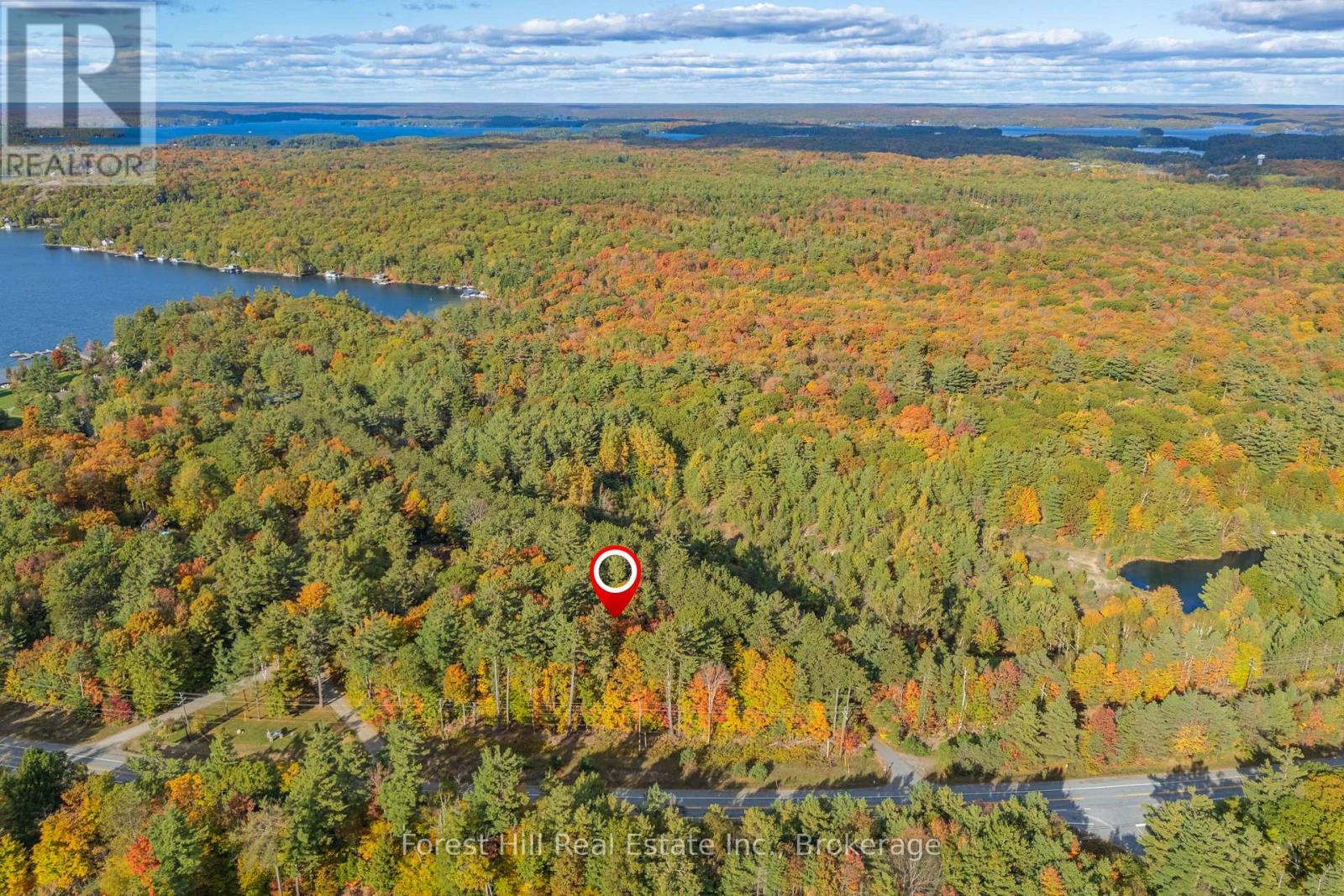 3864 Highway 118 W, Muskoka Lakes (Medora), Ontario  P0B 1J0 - Photo 5 - X12458892