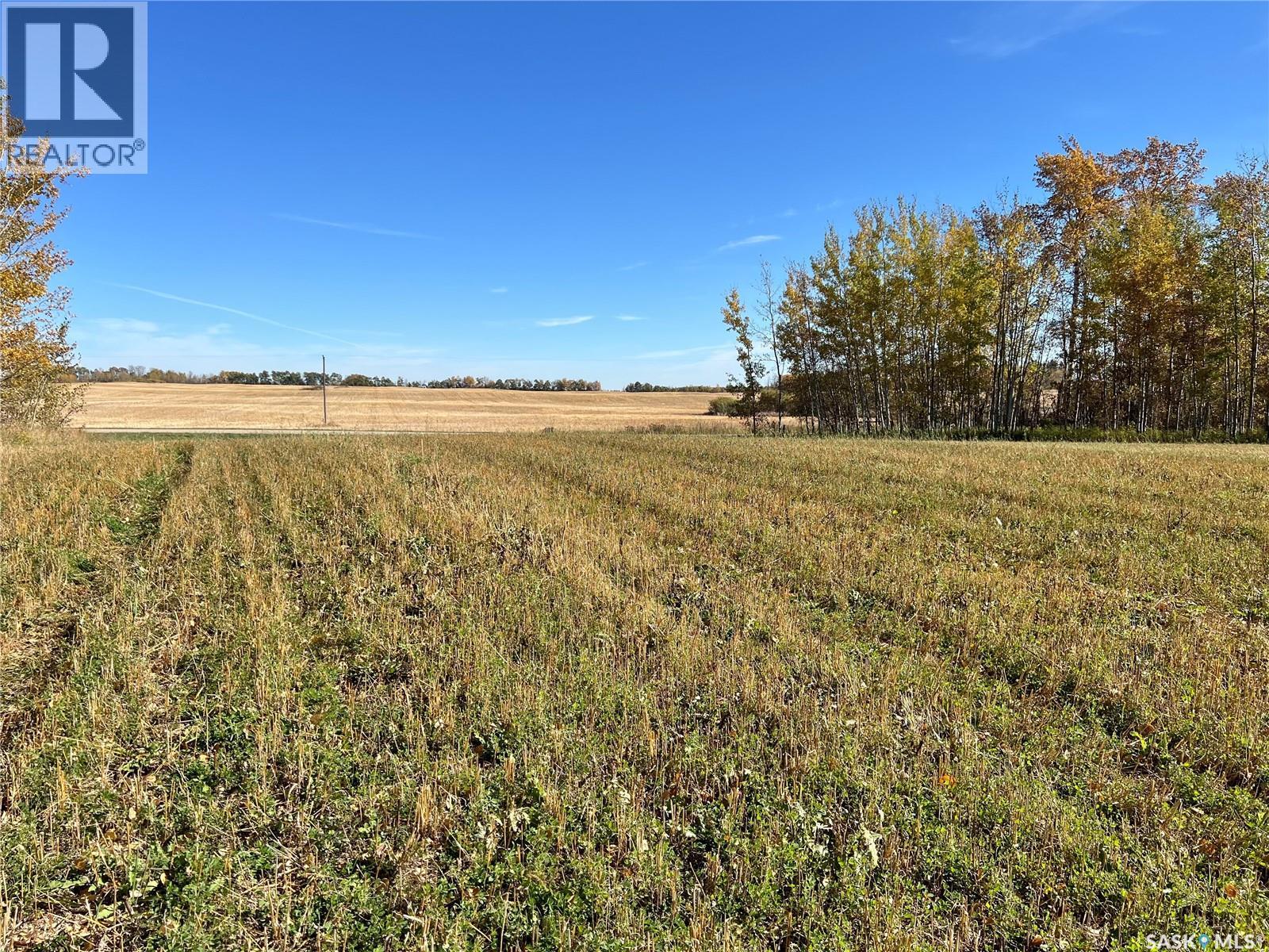 Babb Acreage, Lake Lenore Rm No. 399, Saskatchewan  S0K 3V0 - Photo 2 - SK020661