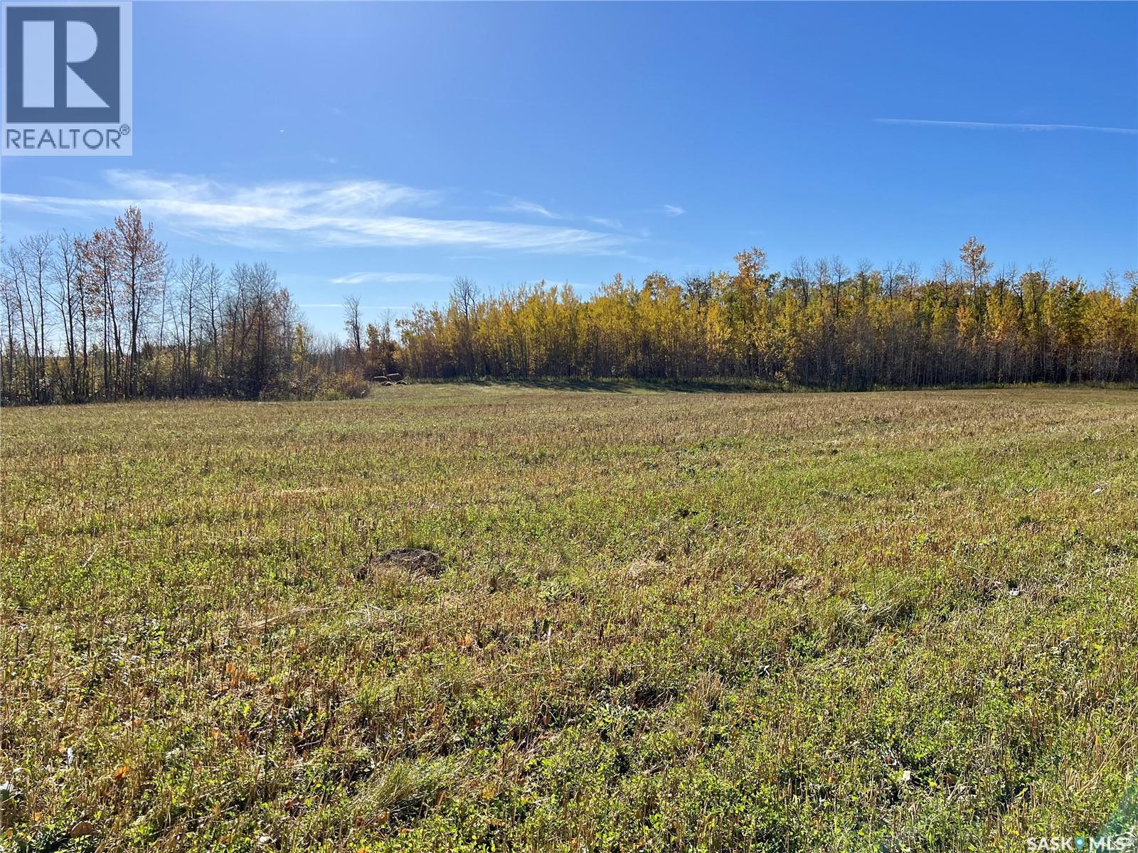 Babb Acreage, Lake Lenore Rm No. 399, Saskatchewan  S0K 3V0 - Photo 3 - SK020661