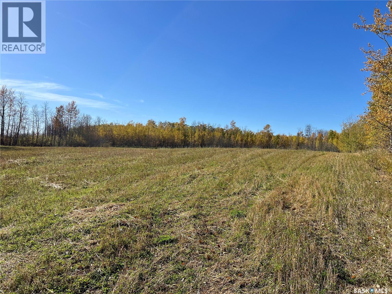 Babb Acreage, Lake Lenore Rm No. 399, Saskatchewan  S0K 3V0 - Photo 4 - SK020661