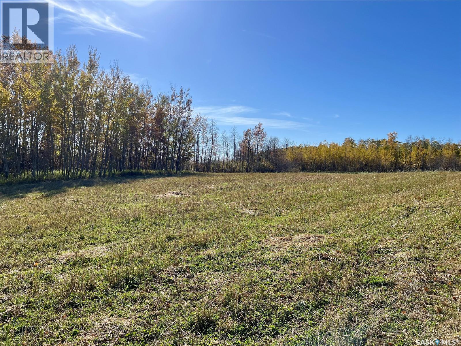 Babb Acreage, Lake Lenore Rm No. 399, Saskatchewan  S0K 3V0 - Photo 5 - SK020661