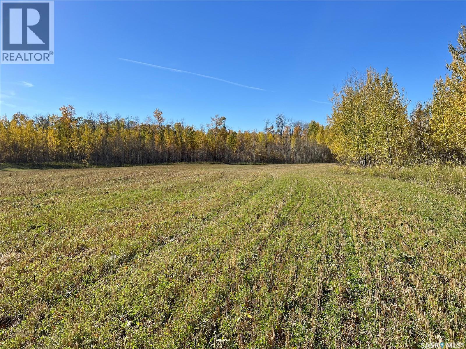 Babb Acreage, Lake Lenore Rm No. 399, Saskatchewan  S0K 3V0 - Photo 6 - SK020661