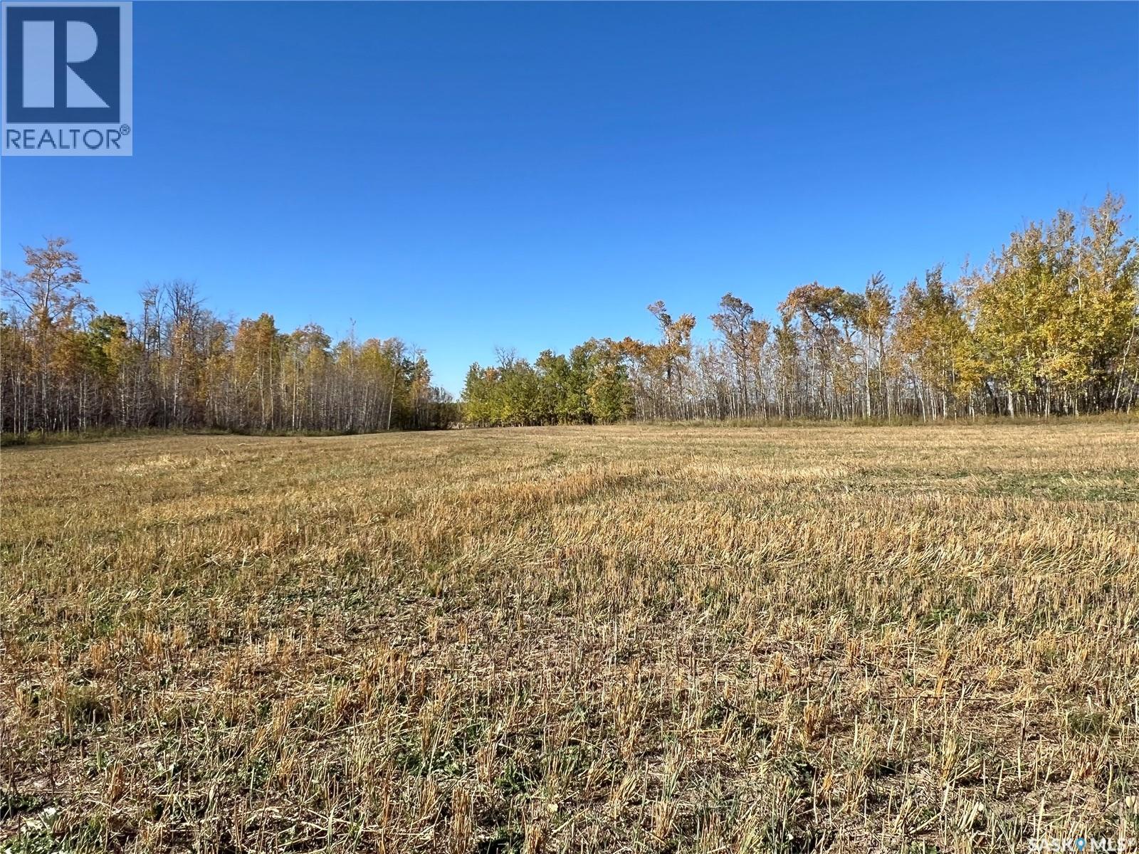 Babb Acreage, Lake Lenore Rm No. 399, Saskatchewan  S0K 3V0 - Photo 7 - SK020661