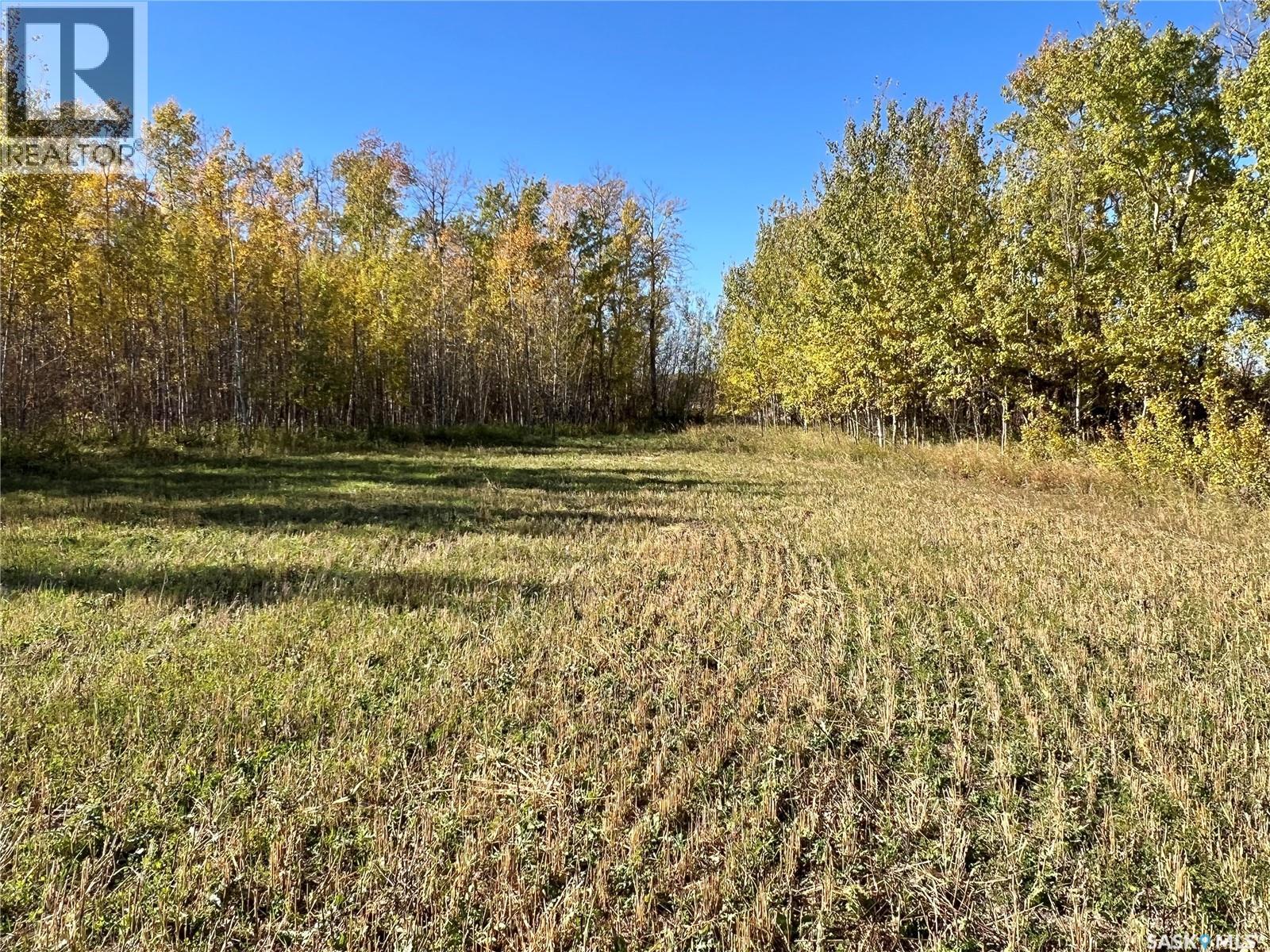 Babb Acreage, Lake Lenore Rm No. 399, Saskatchewan  S0K 3V0 - Photo 8 - SK020661