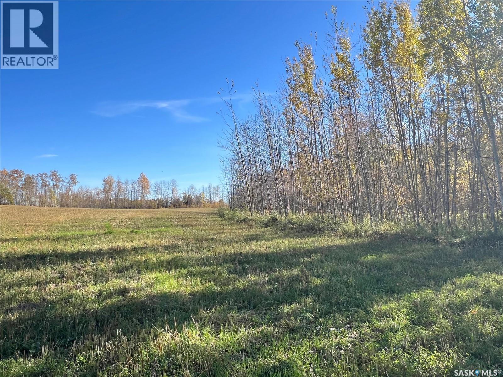 Babb Acreage, Lake Lenore Rm No. 399, Saskatchewan  S0K 3V0 - Photo 9 - SK020661