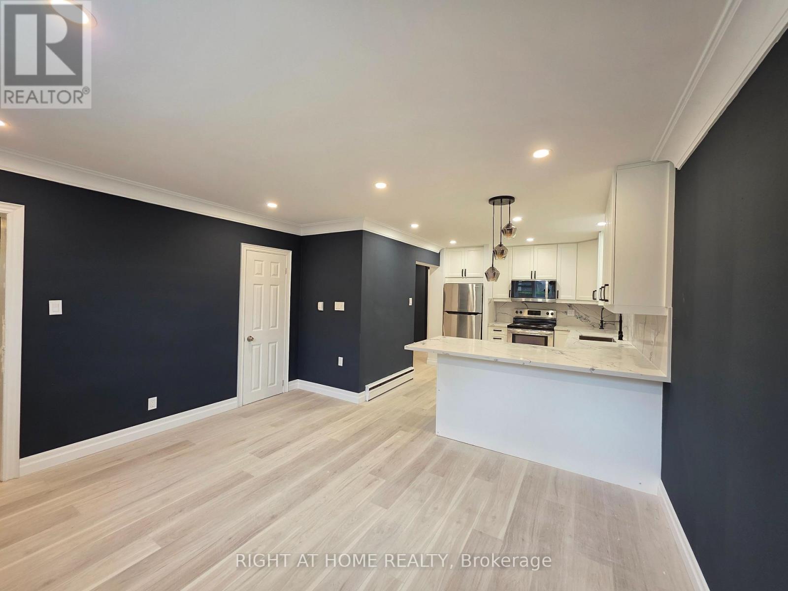 Lowerlevel - 385 Mary Street N, Oshawa, Ontario  L1G 5C9 - Photo 6 - E12458951