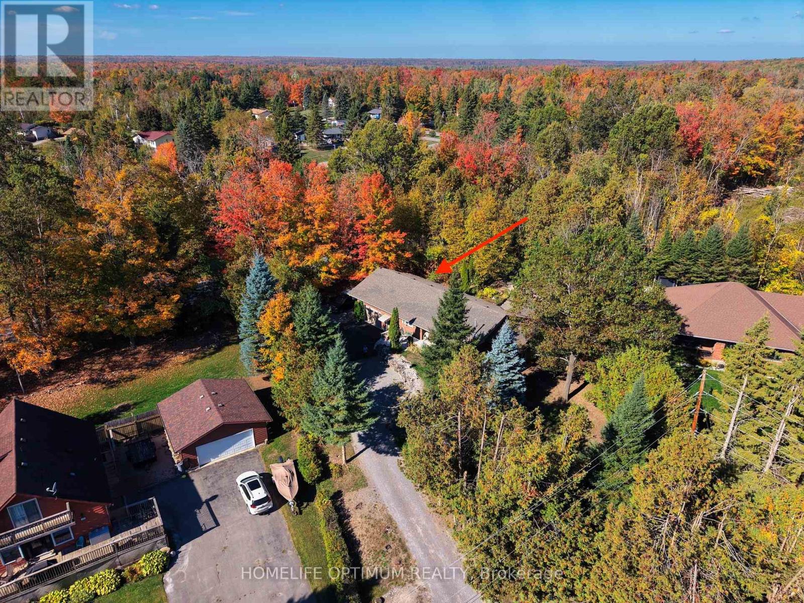 228 Pirates Glen Drive, Trent Lakes, Ontario  K0M 1A0 - Photo 7 - X12451077