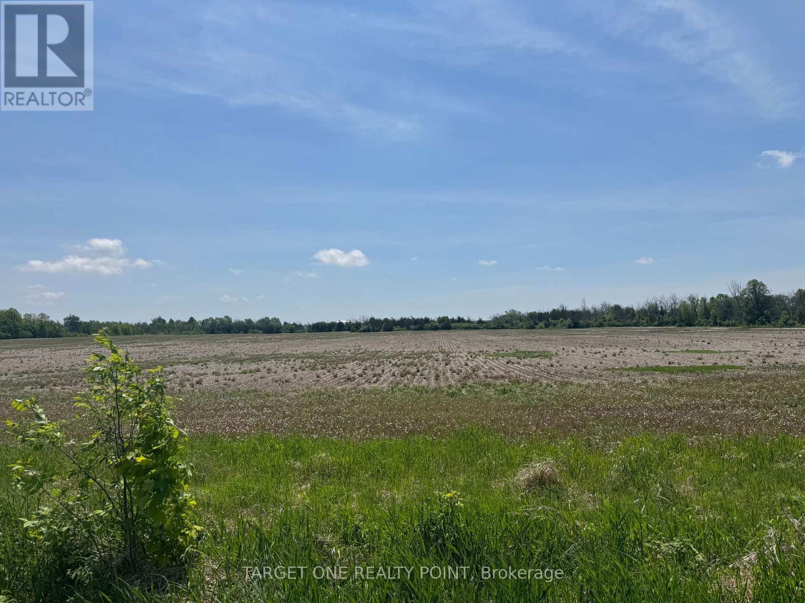 107 Drive In Road, Greater Napanee, Ontario  K7R 3L1 - Photo 5 - X12458993