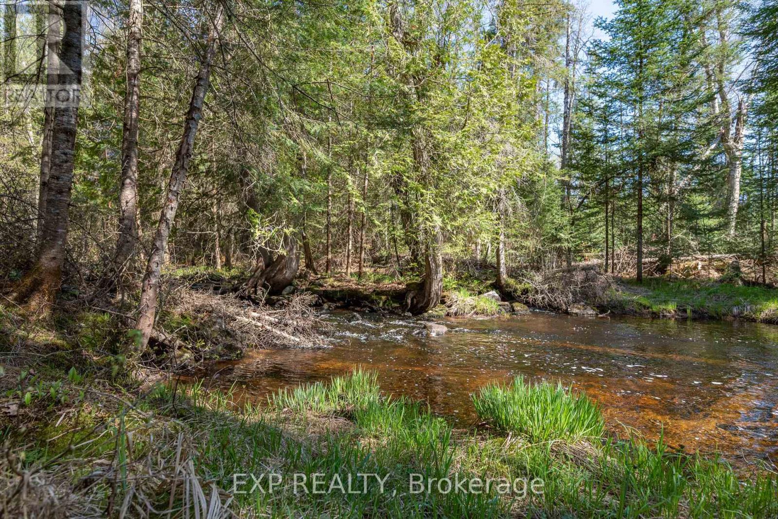 5490 Loop Road, Highlands East, Ontario  K0L 2A0 - Photo 33 - X12146643