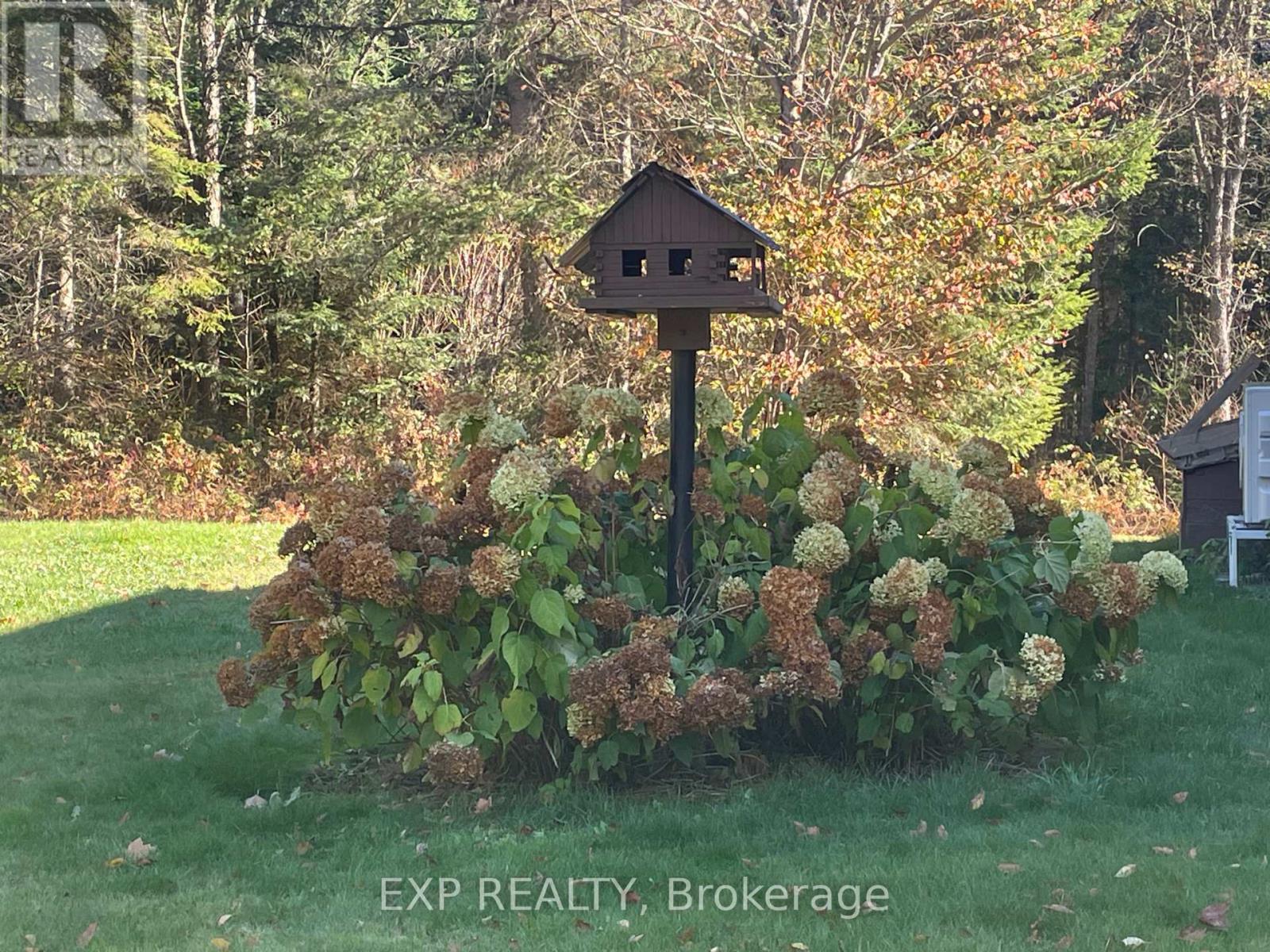 5490 Loop Road, Highlands East, Ontario  K0L 2A0 - Photo 46 - X12146643