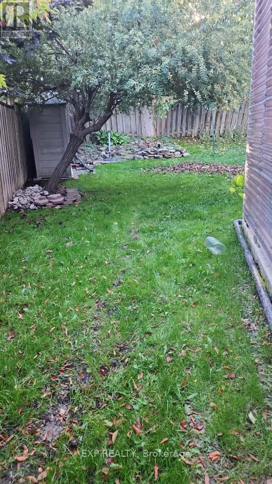 Bsmt - 3067 Ilomar Court, Mississauga, Ontario  L5N 5B5 - Photo 4 - W12459059