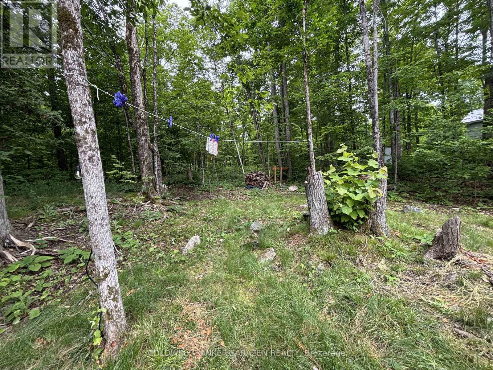 117 Raycroft Peninsula Point, Lanark Highlands, Ontario  K0A 3L0 - Photo 12 - X12459069