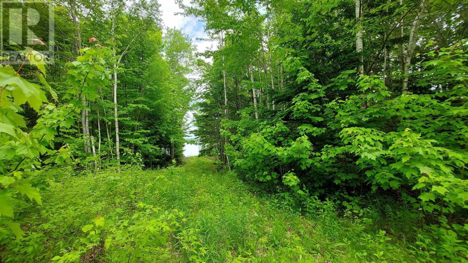 Lot 20 Redbird Dr, Malagawatch, Nova Scotia  B0E 2Y0 - Photo 10 - 202519688