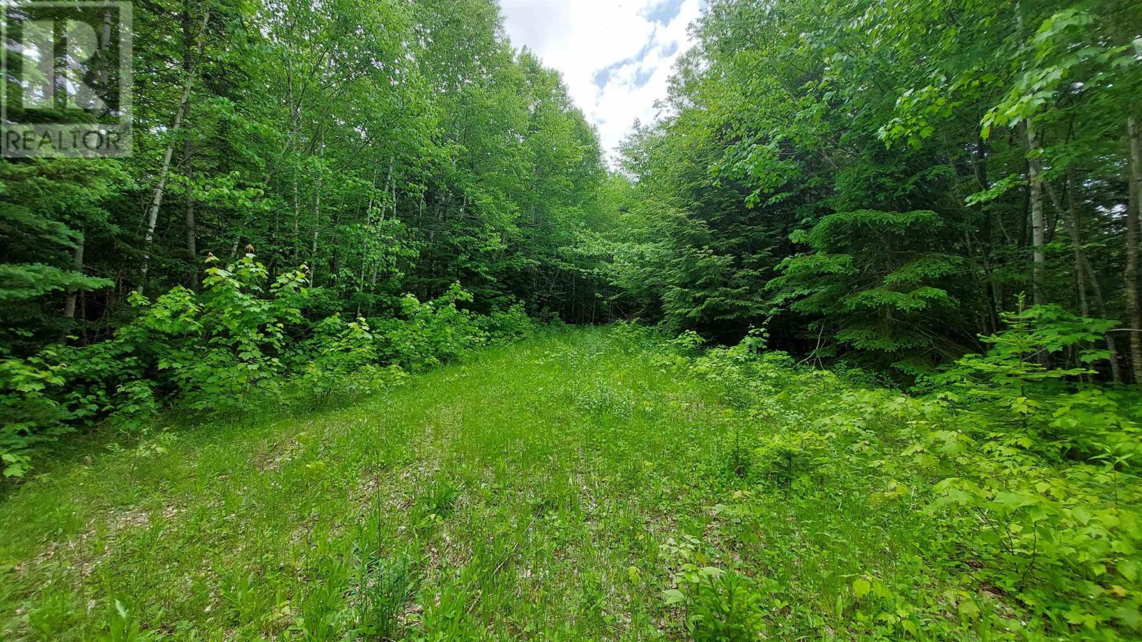 Lot 20 Redbird Dr, Malagawatch, Nova Scotia  B0E 2Y0 - Photo 9 - 202519688