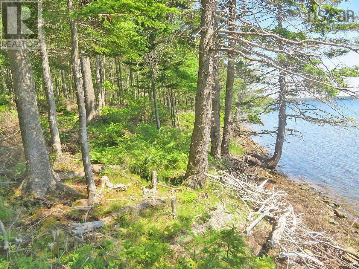 Lot 20 Redbird Dr, Malagawatch, Nova Scotia  B0E 2Y0 - Photo 19 - 202519688