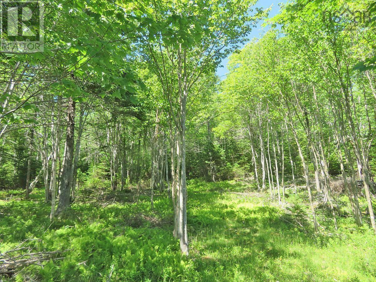 Lot 20 Redbird Dr, Malagawatch, Nova Scotia  B0E 2Y0 - Photo 17 - 202519688