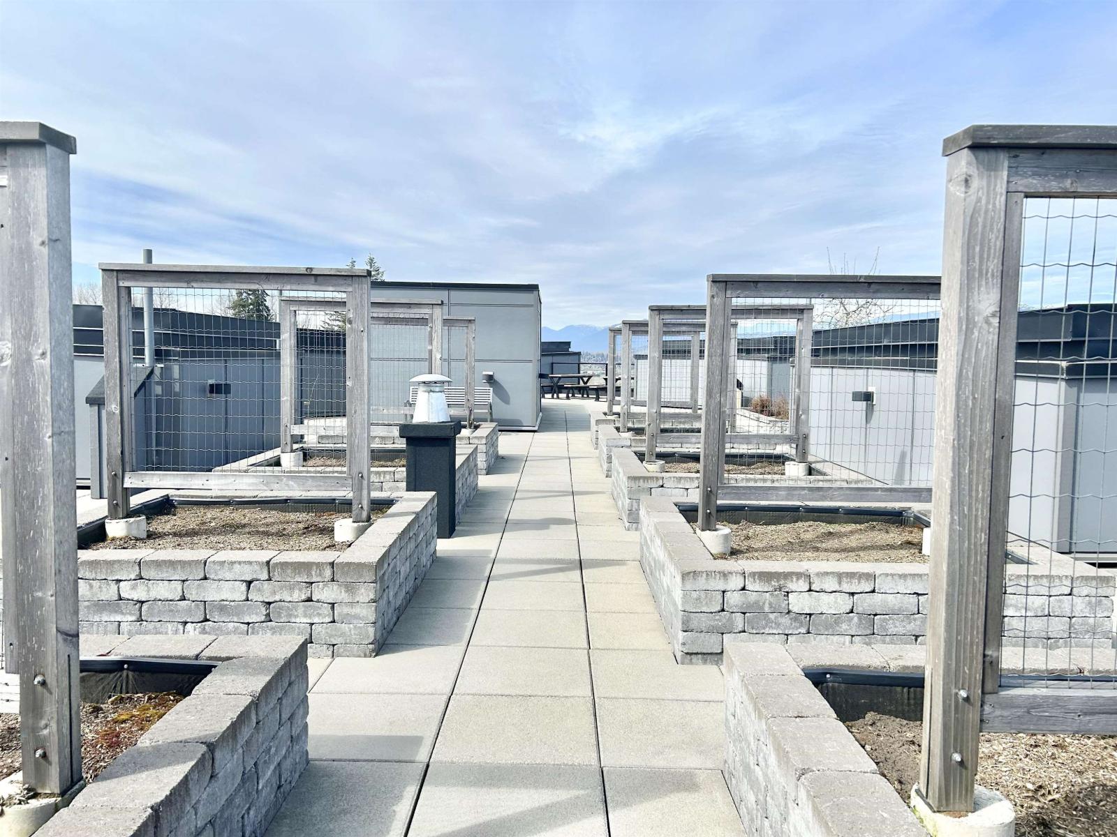 528 11077 Ravine Road, Surrey, British Columbia V3T 0R7 - Photo 19 - R3000770