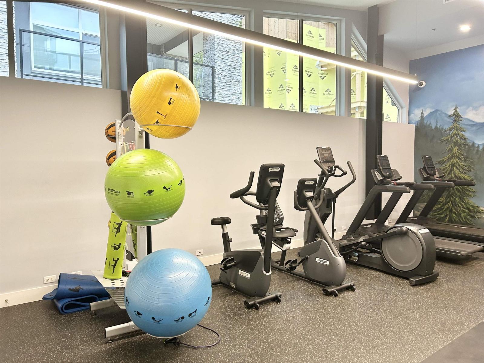 528 11077 Ravine Road, Surrey, British Columbia V3T 0R7 - Photo 32 - R3000770