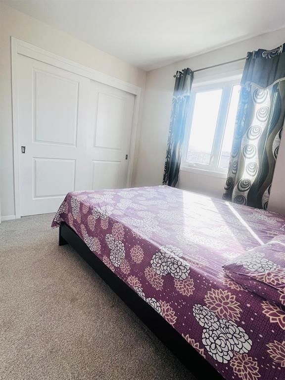 75 Golden Boy Lane, Winnipeg, Manitoba  R3W 0L9 - Photo 10 - 202526260