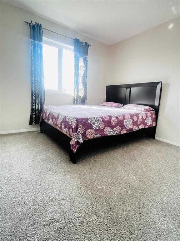 75 Golden Boy Lane, Winnipeg, Manitoba  R3W 0L9 - Photo 7 - 202526260
